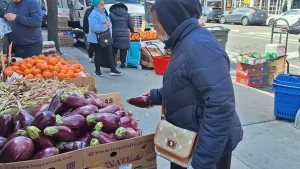 Neoyorquinos temen un “ataque” a sus bolsillos y autoridades alertan sobre ola de especulación ante conflicto en Medio Oriente
