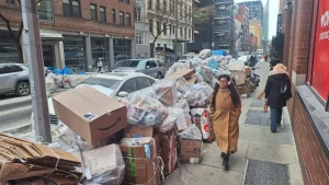 Avanzan en eliminar por completo las bolsas de basura de las calles en otros seis vecindarios de la Gran Manzana