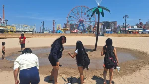 Playas públicas de NYC abrirán oficialmente este sábado con más salvavidas y equipos de seguridad