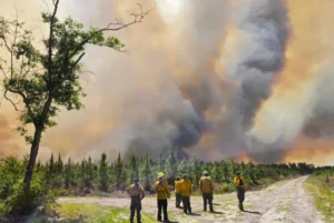 La temporada de incendios forestales en EE.UU comenzó de forma histórica y podría empeorar